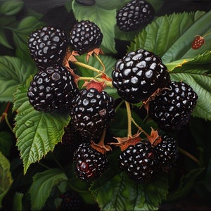 California Blackberry Plant In 4&quot; Nursery Pot | Rubus Ursinus