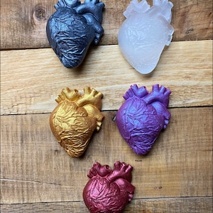 Anatomical Heart | Resin Gold Pewter RED Clear Anatomy | Metallic or Crystal Looking Heart Organ Resin - Valentine’s Day