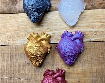 Anatomical Heart Resin | Grey GOLD Pewter RED Clear Anatomy | Metallic or Crystal Looking Heart Organ Resin - Valentine’s Day