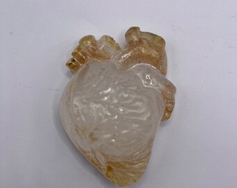 Crystal Gold Tip Anatomical Heart Resin Anatomy | Crystal White Translucent looking Heart Organ Resin | Shrine Art Supply | Valentine’s Day