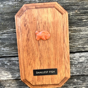 Targa da parete personalizzata a forma di cracker a forma di pesce rosso / Trofeo in ceramica fatto a mano per alimenti 3x5