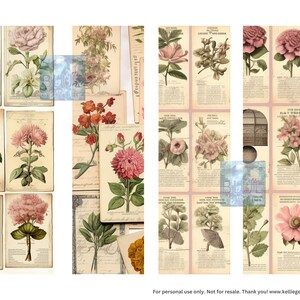 Marcadores florais antigos de flores Marcadores de cartões botânicos Arquivos de download instantâneo
