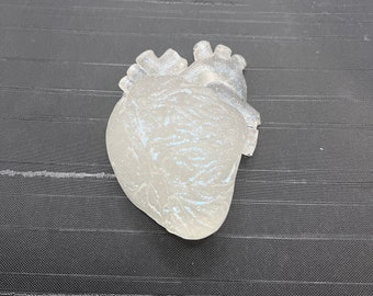 Heart Resin CLEAR iridescent Anatomical  Anatomy | Crystal White Translucent looking Heart Organ Resin | Shrine Art Supply | Valentine’s Day