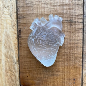 Anatomical Heart Resin CLEAR Anatomy | Crystal White Translucent looking Heart Organ Resin | Shrine Art Supply | Valentine’s Day