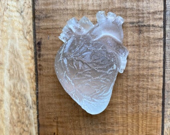 Anatomical Heart Resin CLEAR Anatomy | Crystal White Translucent looking Heart Organ Resin | Shrine Art Supply | Valentine’s Day