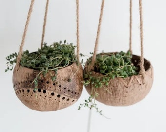 Coconut Hanging Pot | Wave or Classic | Indoor Planter | Eco Friendly Homewares | Gift | Indoor Plants