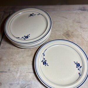 May include: A stack of off-white ceramic plates with a blue floral design and a blue border. One plate is separate, showing the design more clearly. The plates are on a light-colored wooden surface.