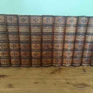 Antique leather bound The American Cyclopaedia by D. Appleton and Company 1881