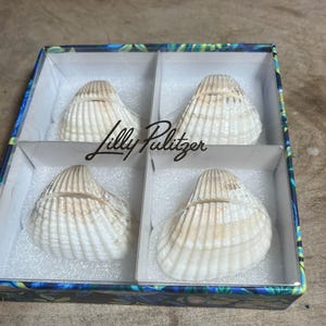 May include: Four white and tan seashell-shaped objects are displayed in a box with a floral and blue pattern. The box is divided into four compartments, each holding a shell. The Lilly Pulitzer logo is printed on the box.