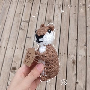 May include: A crocheted brown and white squirrel toy with black eyes. The toy is holding a small brown tag with the price £5 written on it.