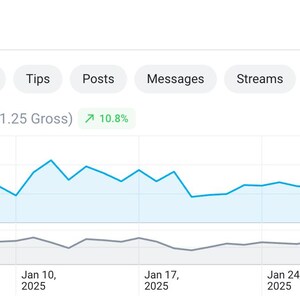 VIP Sales Bundle Content Creator Tools Make 200 in 30 Min Only Fans Fansly Snap Snap Chat Bump Selling Captions Mass Messages Tip Campaign image 2