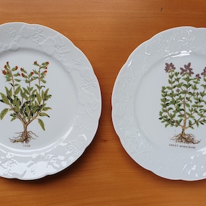 Lierre sauvage plate - Etsy 日本