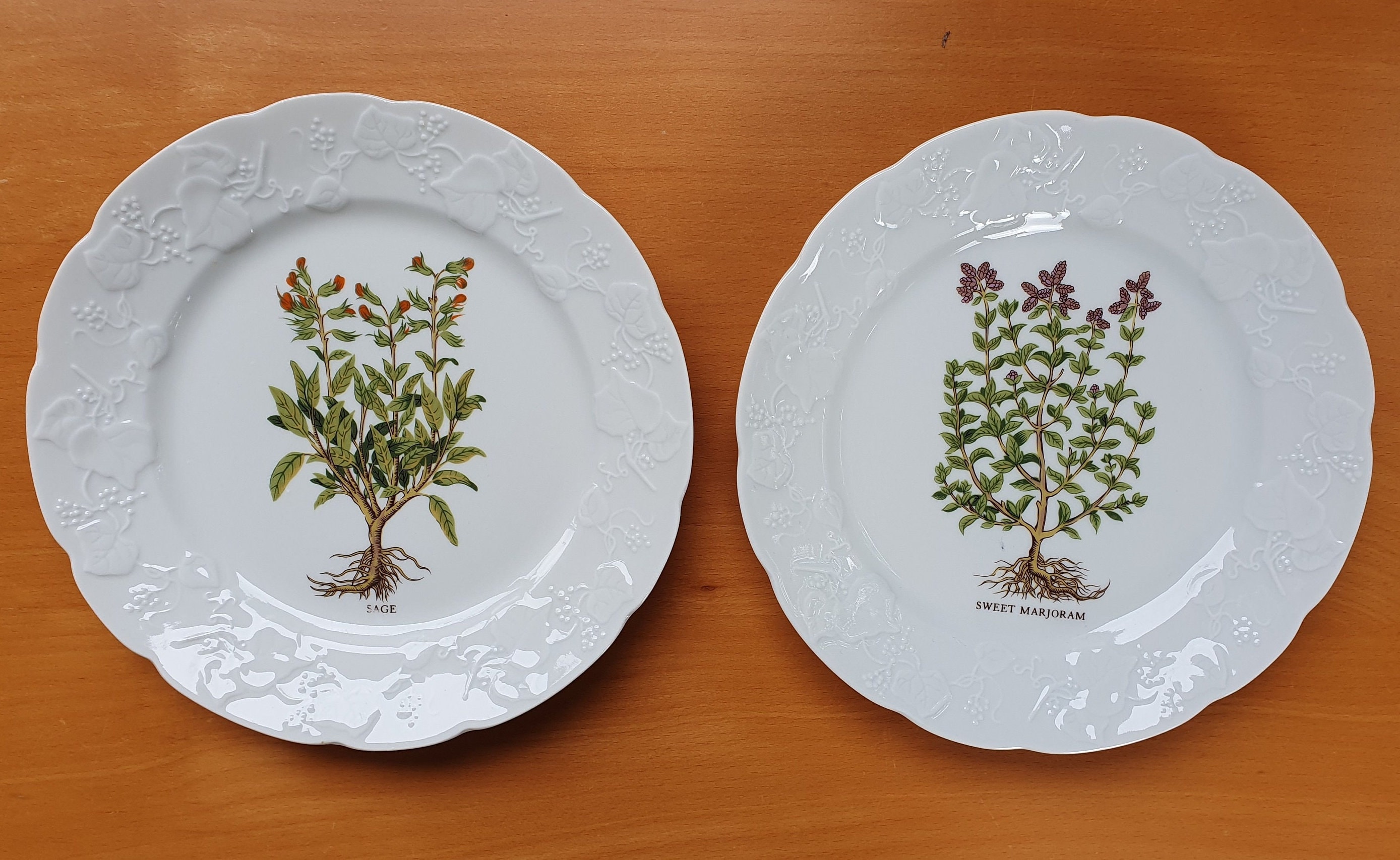 Lierre sauvage plate - Etsy 日本