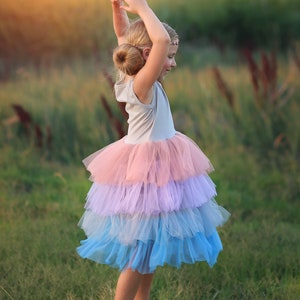 Blaues Blumenmädchenkleid aus Tüll Prinzessin Geburtstagsoutfits, flauschiges Partykleid für besondere Anlässe, Geschenk für Mädchen, Twirl-Worthy Blumenmädchen Bild 3