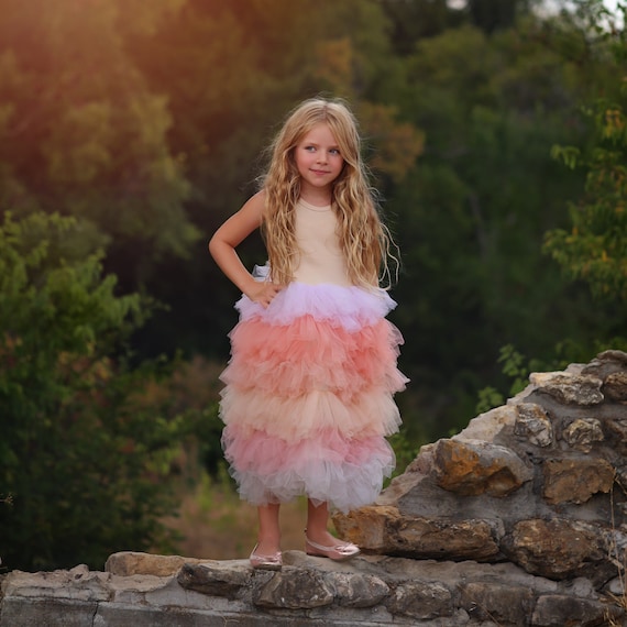 chinese dress ladies Girls Perfect Diva Special Occasion Tutu Dress main image 1