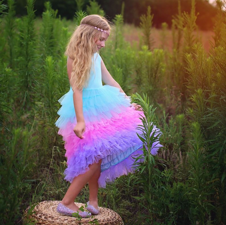 High Low Tulle Flower Girl Dress Princess Birthday Outfits, Fluffy Party Dress for Special Occasions, Gift for Girls, Tulle Flower Girl image 5