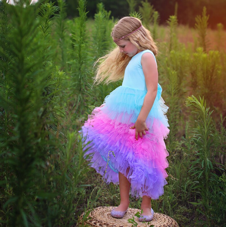 High Low Tulle Flower Girl Dress Princess Birthday Outfits, Fluffy Party Dress for Special Occasions, Gift for Girls, Tulle Flower Girl image 1