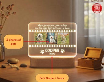 Personalized Pet Memorial Night Light, Custom Pet Photo Night Light, Custom Pet Memorial Gift, Loss Of Pet Sympathy Gift, Dog Loss Gift
