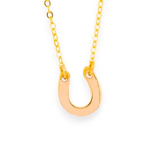Tiny Horseshoe Necklace, Dainty Gold or Rose Gold, Silver Horseshoe Pendant Necklace on Delicate Chain, Equestrian Horseshoe Jewelry