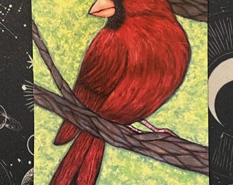 Cardinal Magnet Refrigerator Magnet Bird Lovers