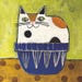 jenny elkins