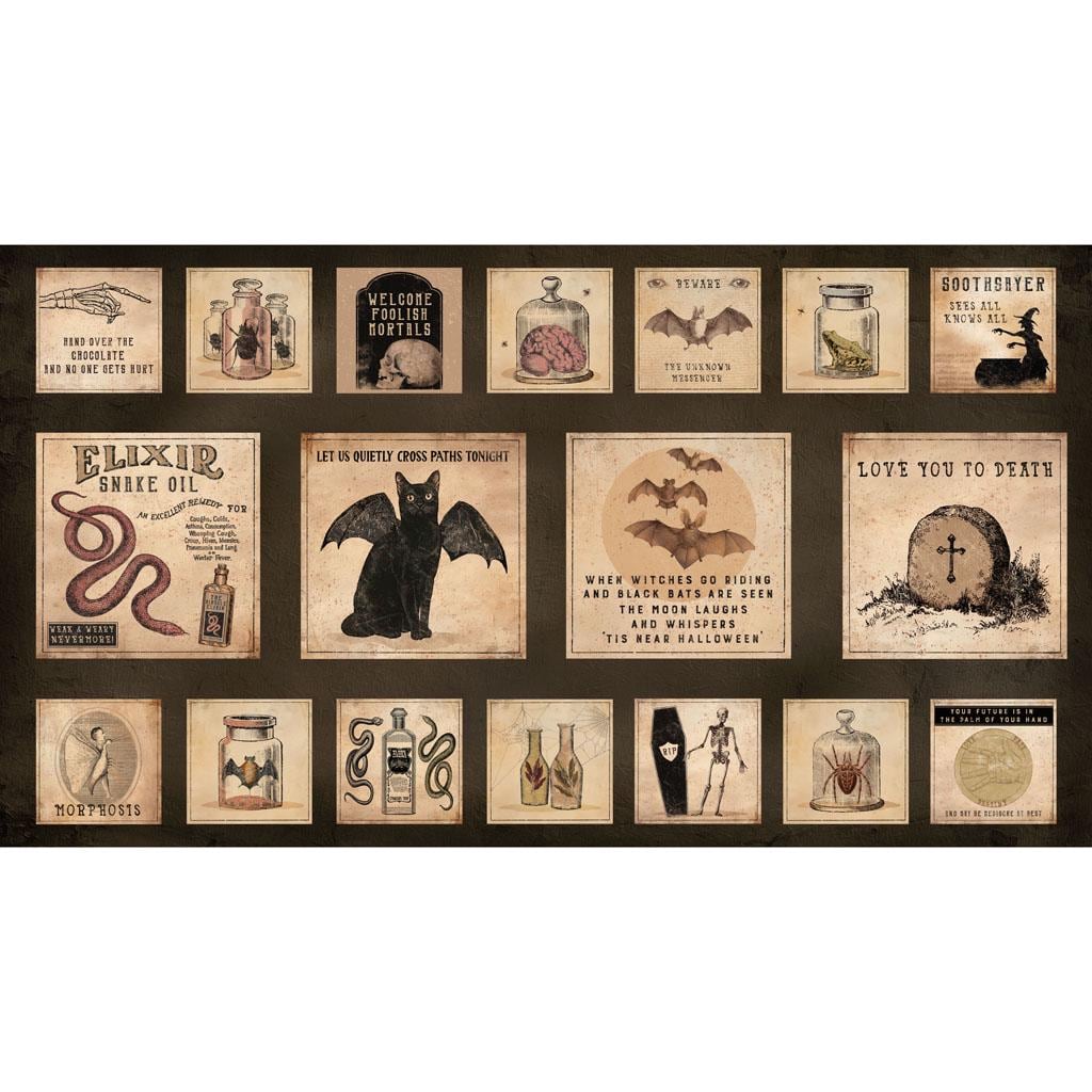 Gothic Halloween Blocks 24" Panel, Dan DiPaolo Clothworks Digital Fabric Poe The Raven