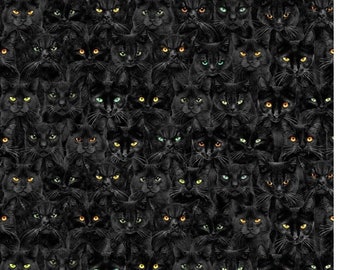 Wicked Black Cat Magic Timeless Treasures 1 yard Spooky Halloween cotton fabric CD1831
