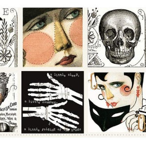 May include: A collage of vintage-style illustrations featuring a crow, a skull, and stylized faces with blush and bold features. The images are in black, white, and muted colors, with text elements like "SCARE CROW" and "a little sleep".