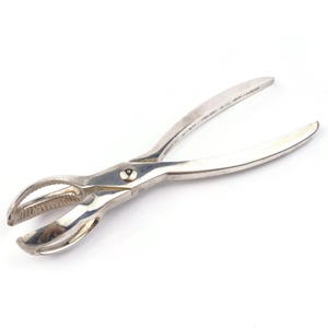 Puede incluir: Un cascanueces plateado con una mandíbula curva y dentada y mangos largos. El cascanueces es de metal y tiene un acabado brillante. Los mangos están ligeramente curvados para un mejor agarre.