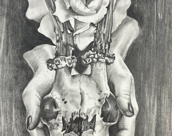 Continued Beauty by Leah Miller - 7x10 Original Graphite Drawing - Pencil skull still life