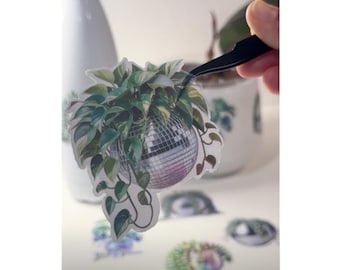 Pothos Plant Sticker,Golden Pothos Plant Lover Sticker,Plant Mom Sticker,Disco Ball Plant,Disco Planter Decal,Transparent Stickers,Pothos