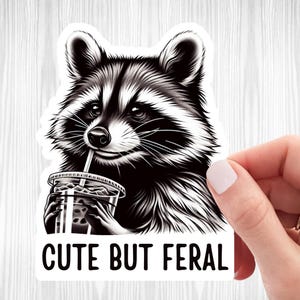 Cute but Feral Raccoon Sticker Cute Animal Sticker Raccoon Lover Funny Raccoon Accessory Decal For Tumbler Feral Raccoon Animal Lover Gift