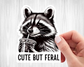 Cute but Feral Raccoon Sticker Cute Animal Sticker Raccoon Lover Funny Raccoon Accessory Decal For Tumbler Feral Raccoon Animal Lover Gift