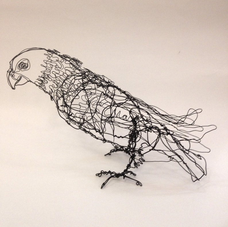 Maximilian Pionus Parrot Wire Bird Drawing Sculpture Art Etsy - image 0