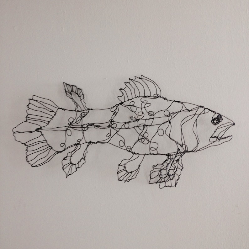 Coelacanth fish art-wire drawing sculpture image 3