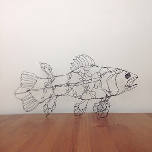 Coelacanth fish art-wire drawing sculpture image 1