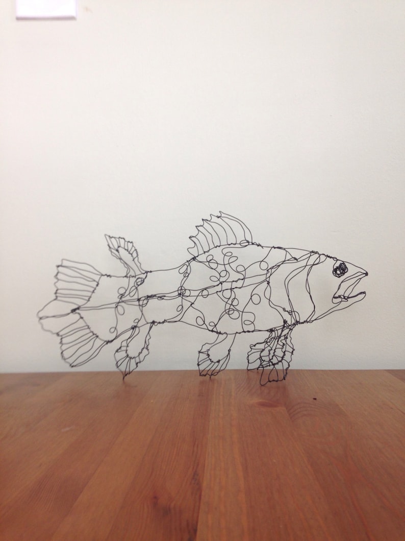 Coelacanth fish art-wire drawing sculpture image 1