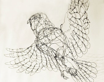 Barred Owl-Wire Drawing Sculpture Art