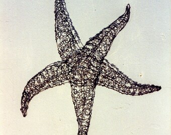 Starfish--Wire Drawing Sculpture art