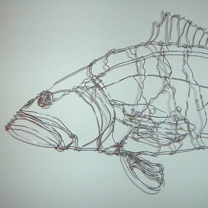 Large Mouth Bass
