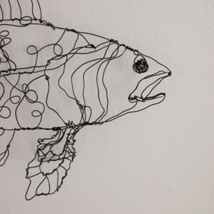 Coelacanth fish art-wire drawing sculpture image 5