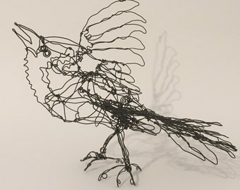 Blue Jay-Wire Drawing Sculpture art