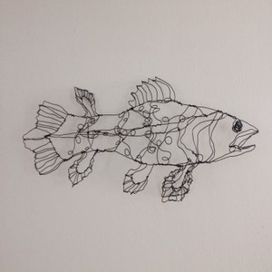 Coelacanth fish art-wire drawing sculpture image 4