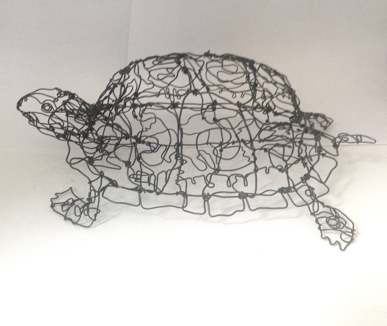 Box Turtle Wire Drawing Sculpture Art Etsy