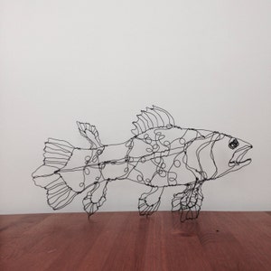 Coelacanth fish art-wire drawing sculpture image 2