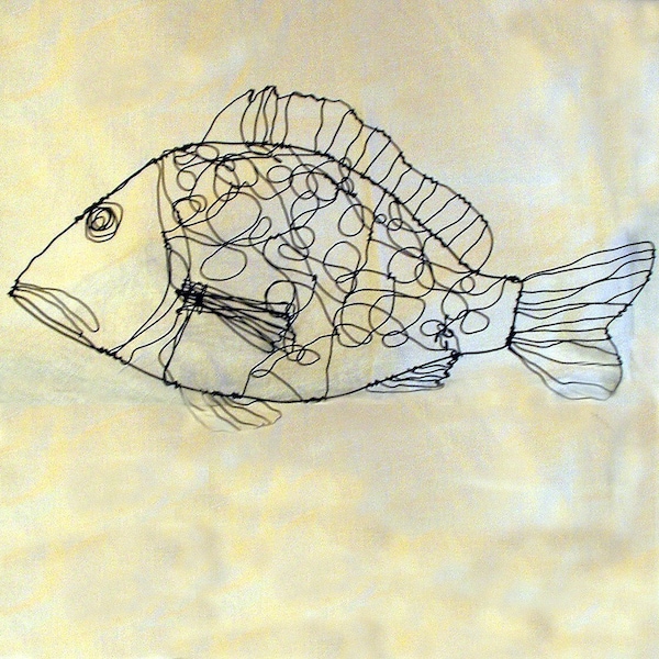 Dotty Fish--Wire Drawing Sculpture art