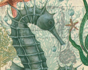 2 (Two) Paper Guest/Buffet Napkins for Decoupage/Mixed Media - Seahorses ocean animal