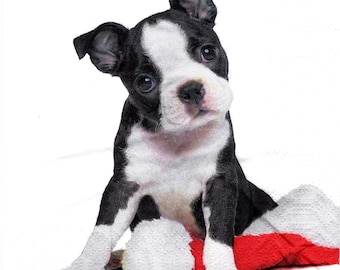 2 (Two) Paper Lunch Napkins for Decoupage/Mixed Media - Xmas Boston Terrier puppy