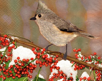 2 (Two) Paper Lunch Napkins for Decoupage/Mixed Media - Tufted Titmouse in winter bird