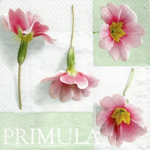 2 (Two) Paper Lunch Napkins for Decoupage/Mixed Media - Primula Pink Flowers